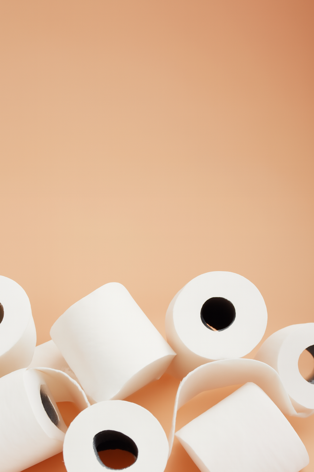 Soft & Clean Toilet Paper 2ply x 400sheets